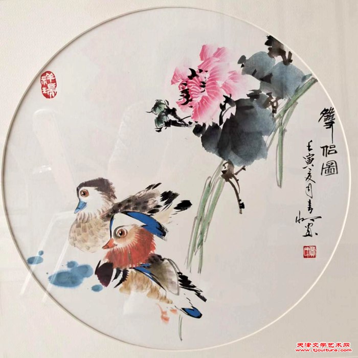 贾春明-