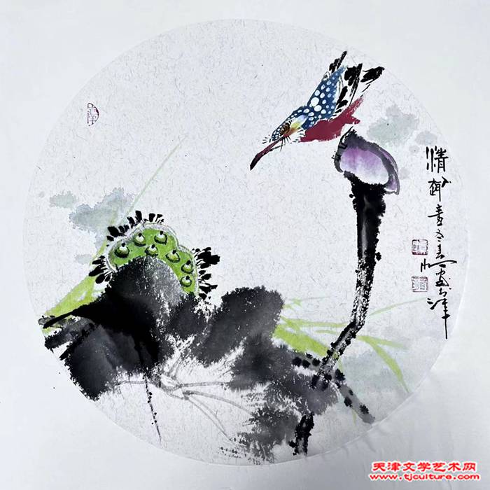 16 贾春明