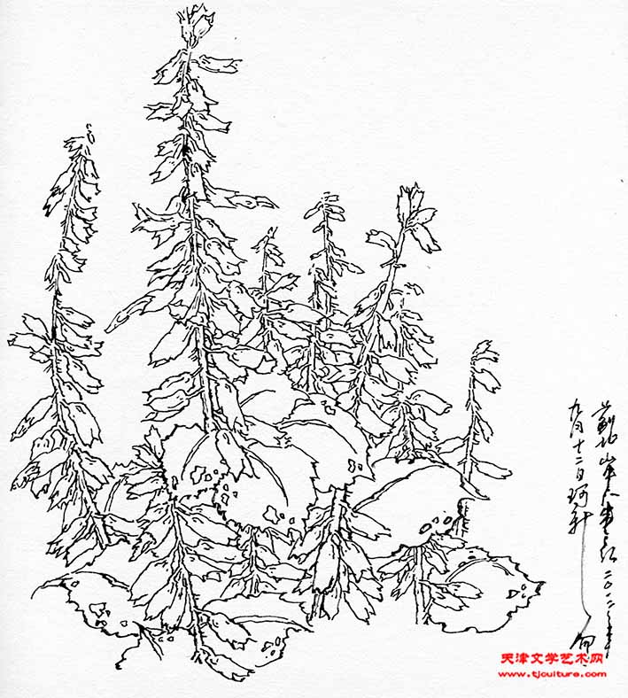 70-2012蓟北 (3)