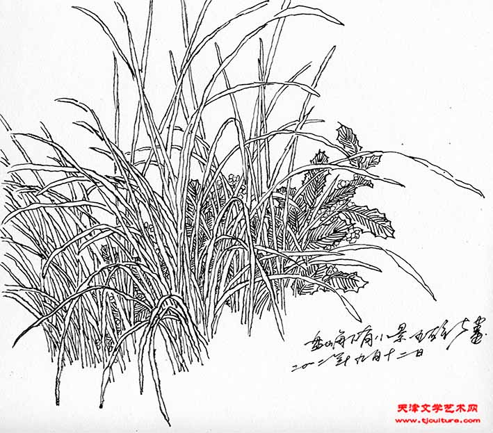 81-2012盘山 (3)