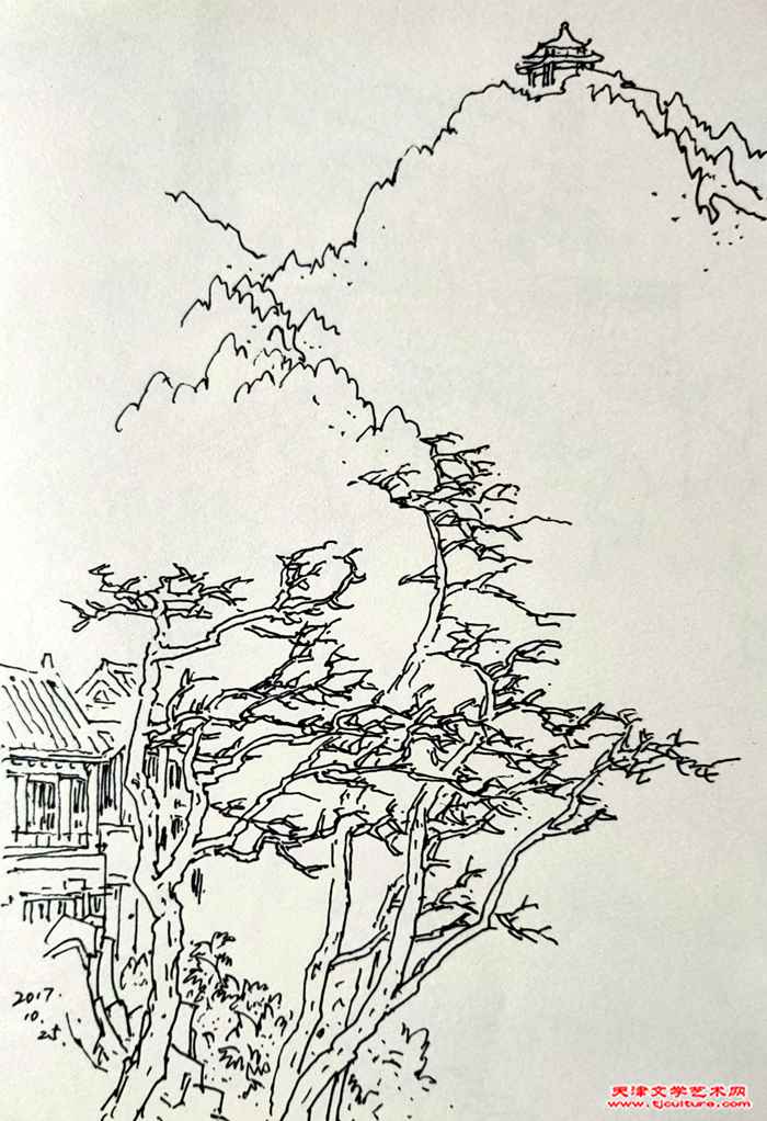 泰3