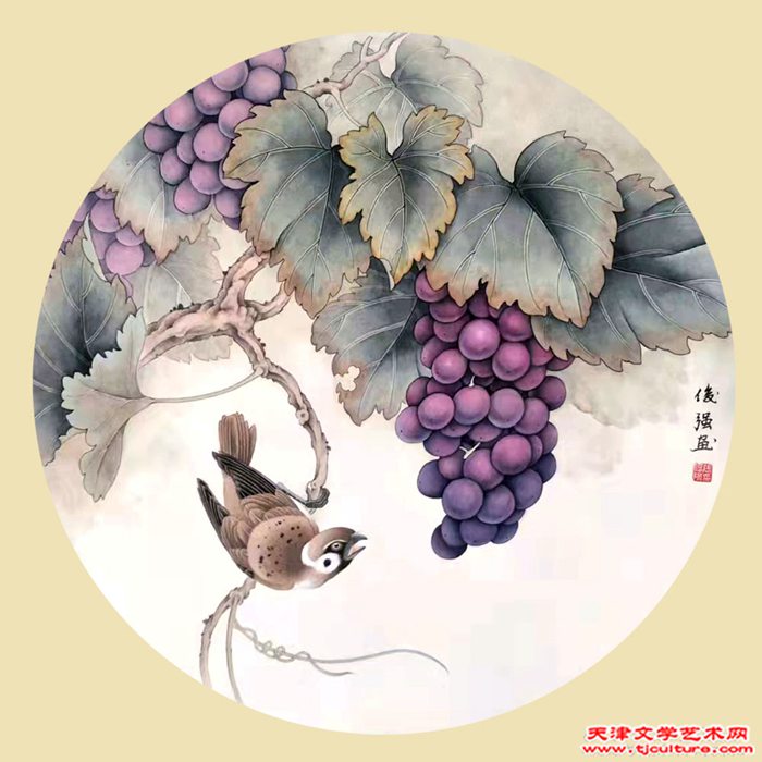 张俊强-