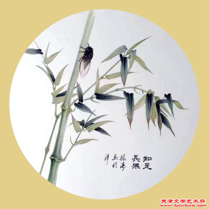赵振涛-