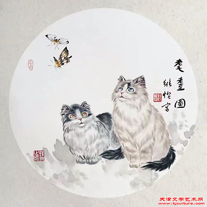 轩维怡-
