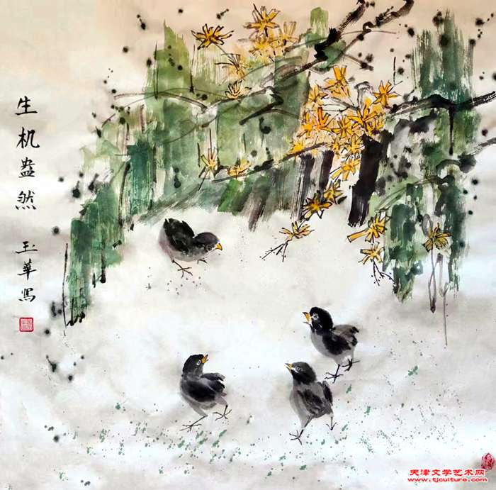 10张玉华