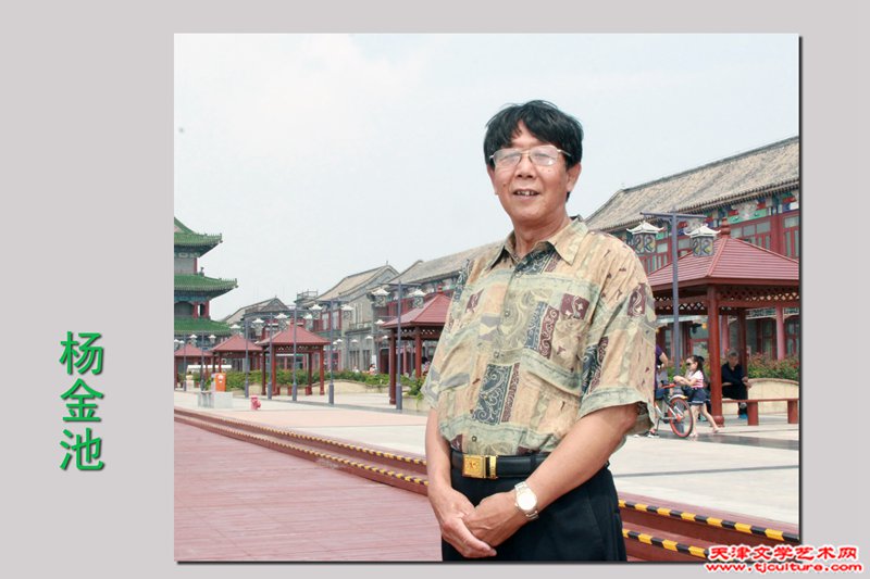 杨金池 