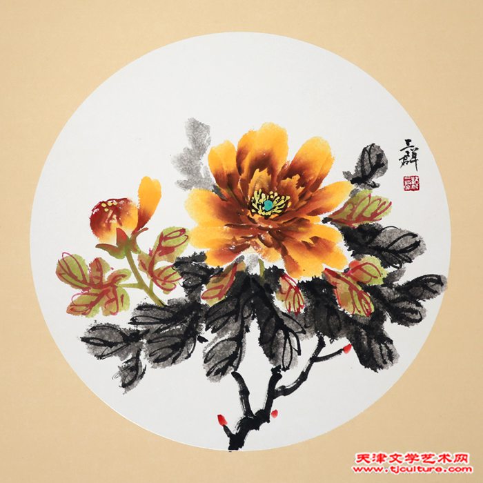 韩三群50