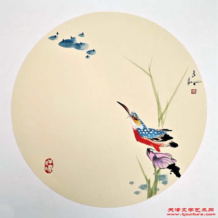 贾春明50x50
