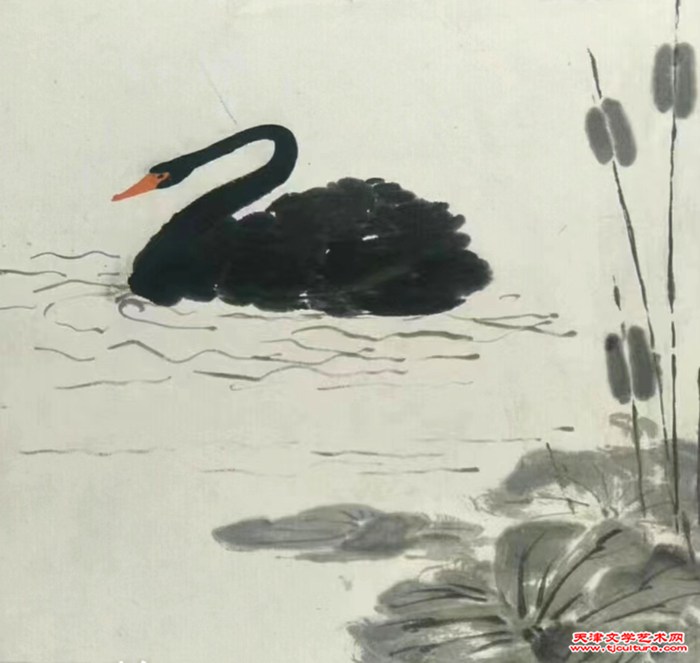 009 水墨画  《黑天鹅》
