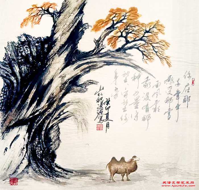 微信图片_20231114201250