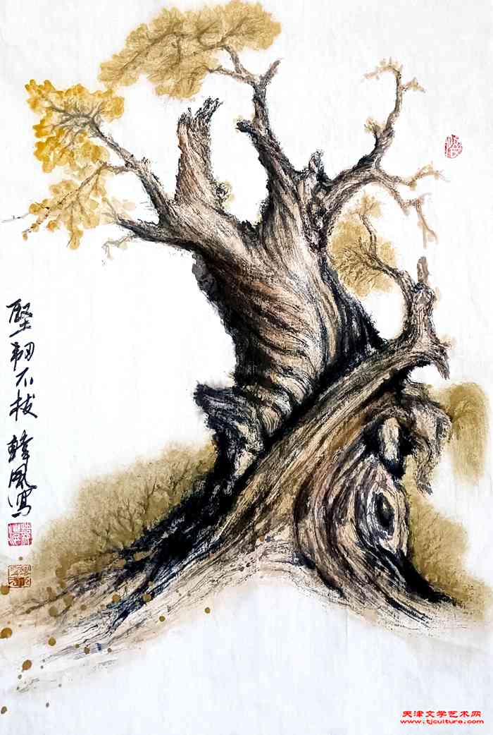 微信图片_20231114201317