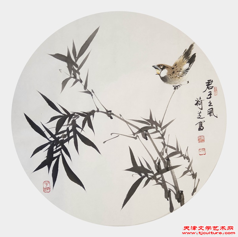 张荷芝