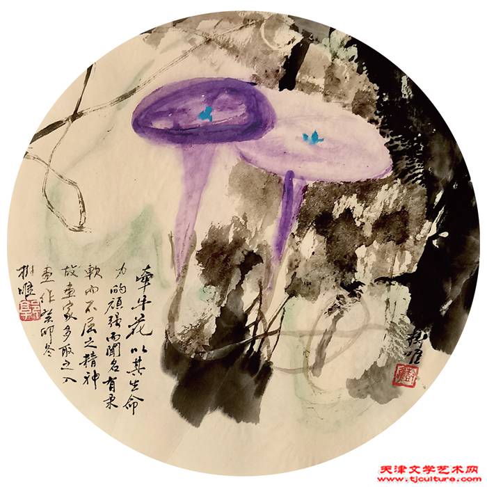 向上
