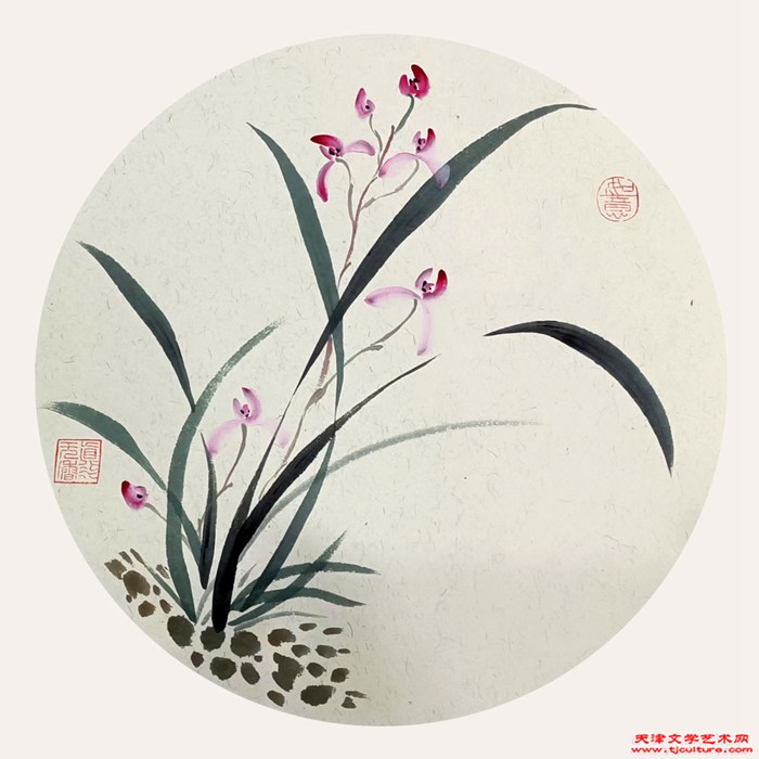 《兰心》王丽