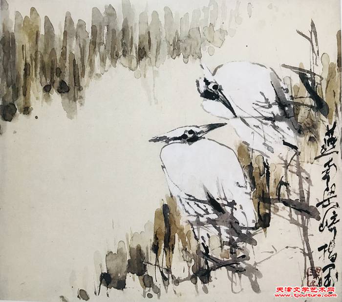 微信图片_20240220130606