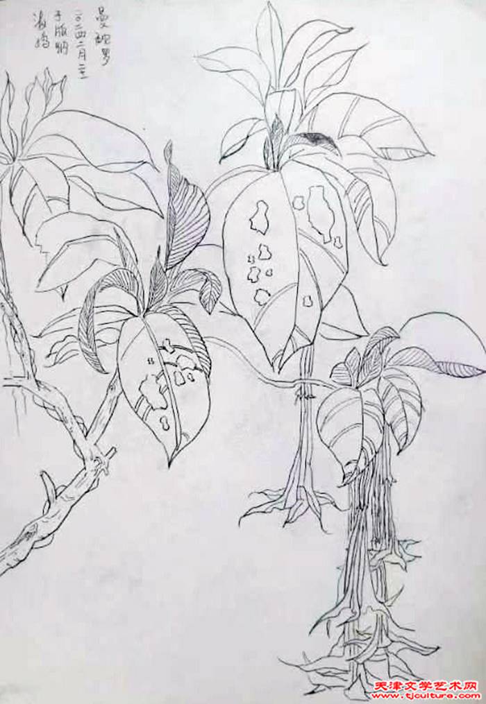 微信图片_20240407203012