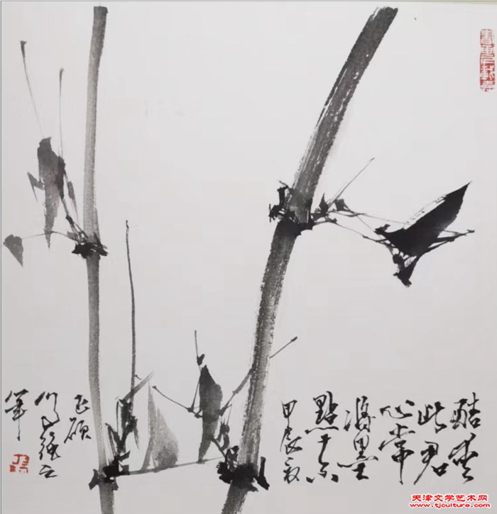 微信图片_20240520144403