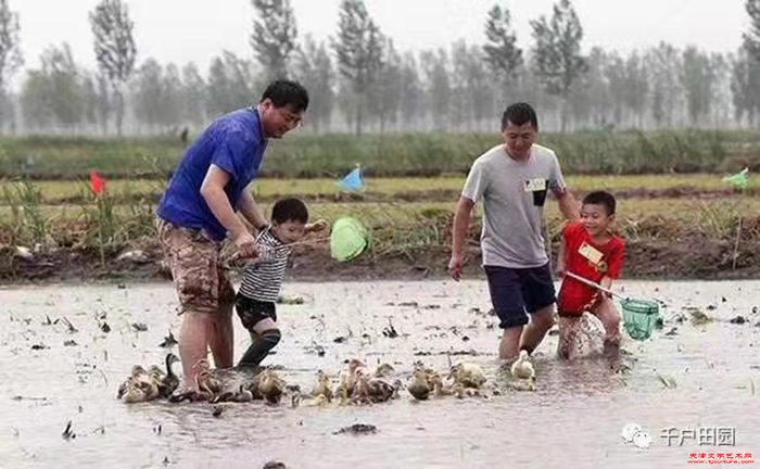 微信图片_20240616130555