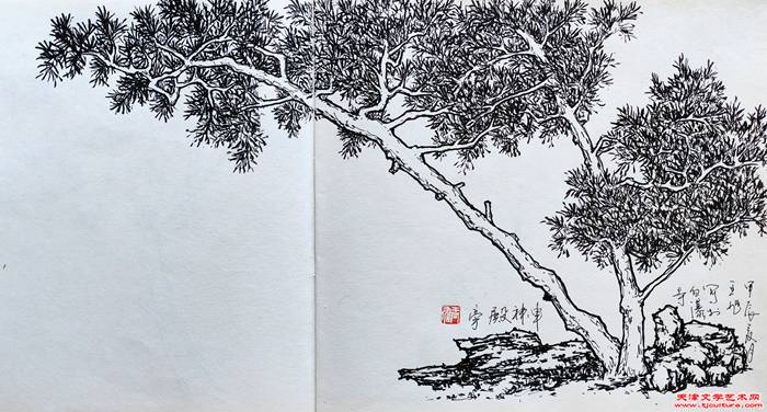 微信图片_20240724072017