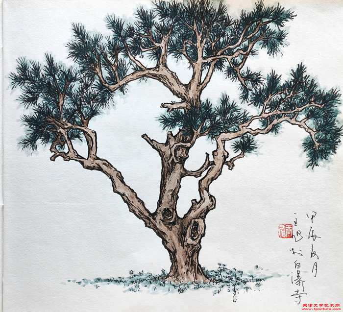 微信图片_20240724072112