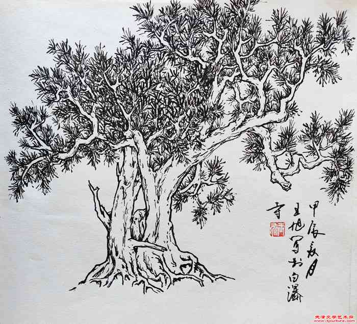 微信图片_20240724072135
