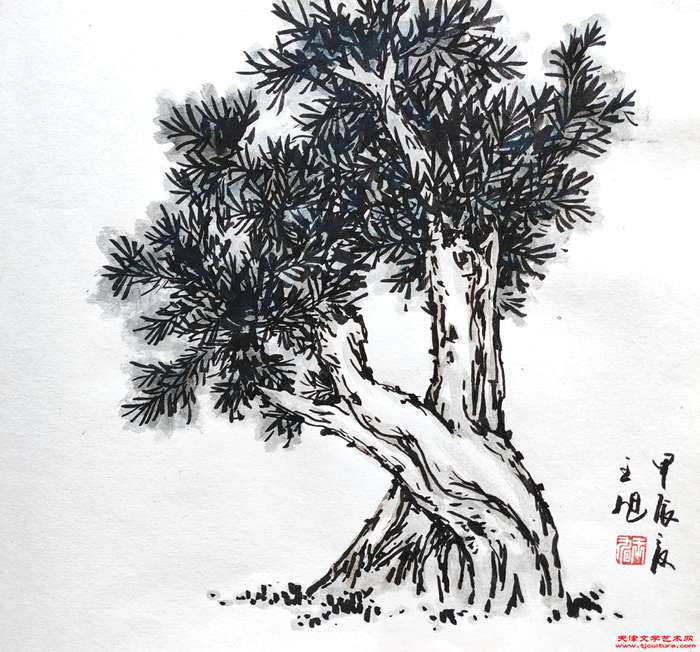 微信图片_20240724072209