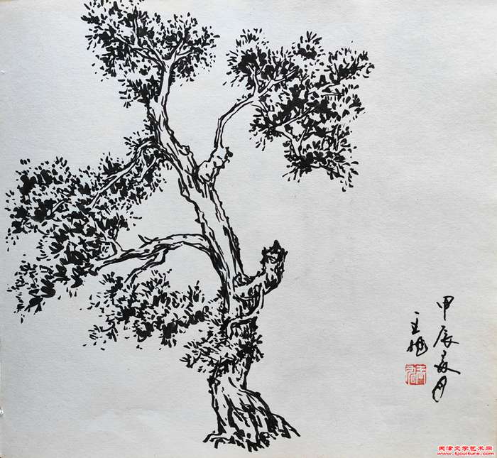 微信图片_20240724072216