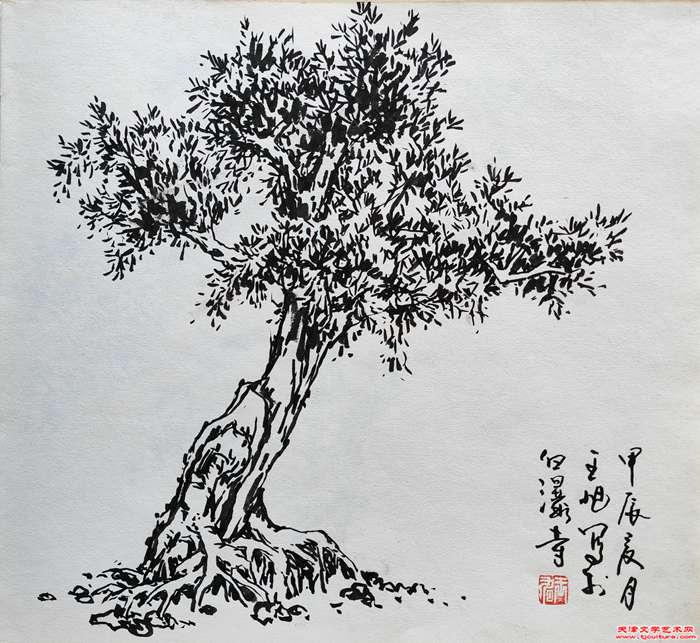 微信图片_20240724072226