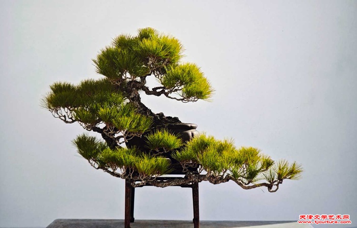 08 《临江揽月》