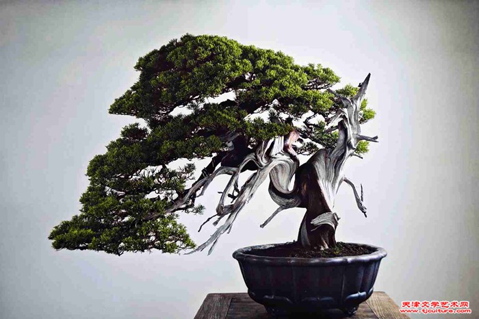 09 《傲骨仙风》