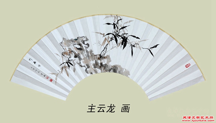 主云龙 