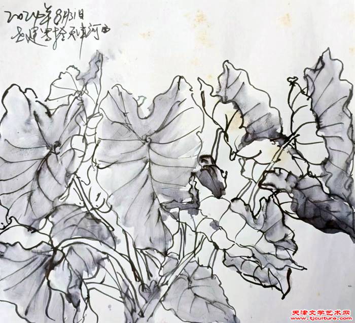 微信图片_20240924192245