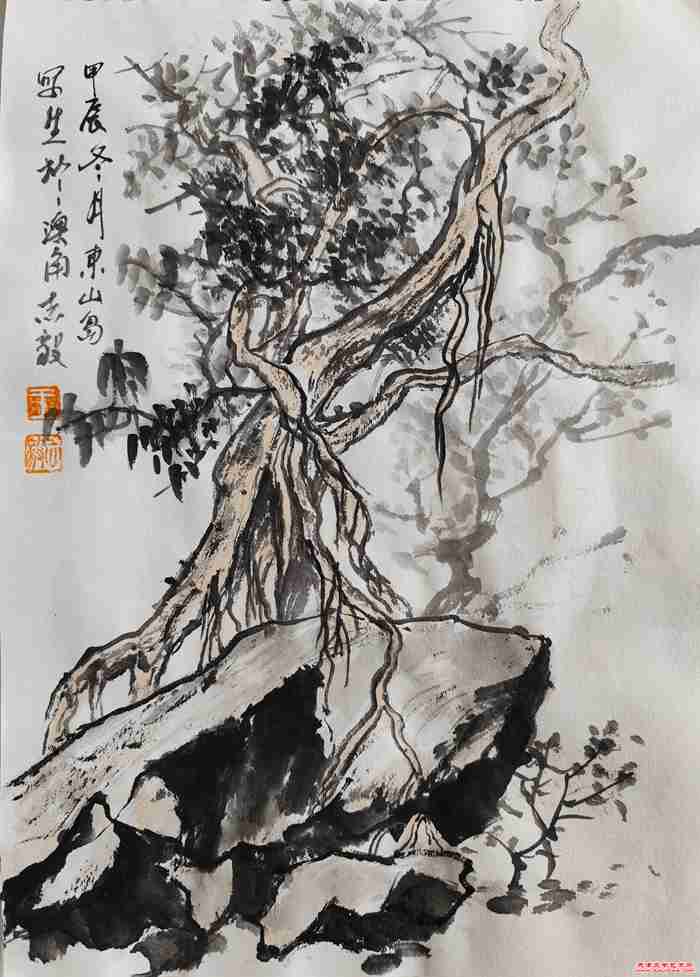 微信图片_20241219104014