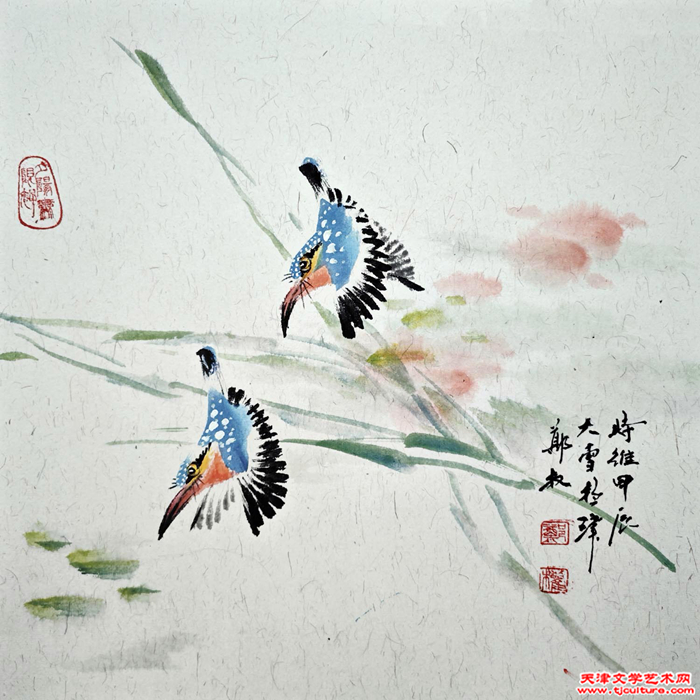 MVIMG_20241222_153348