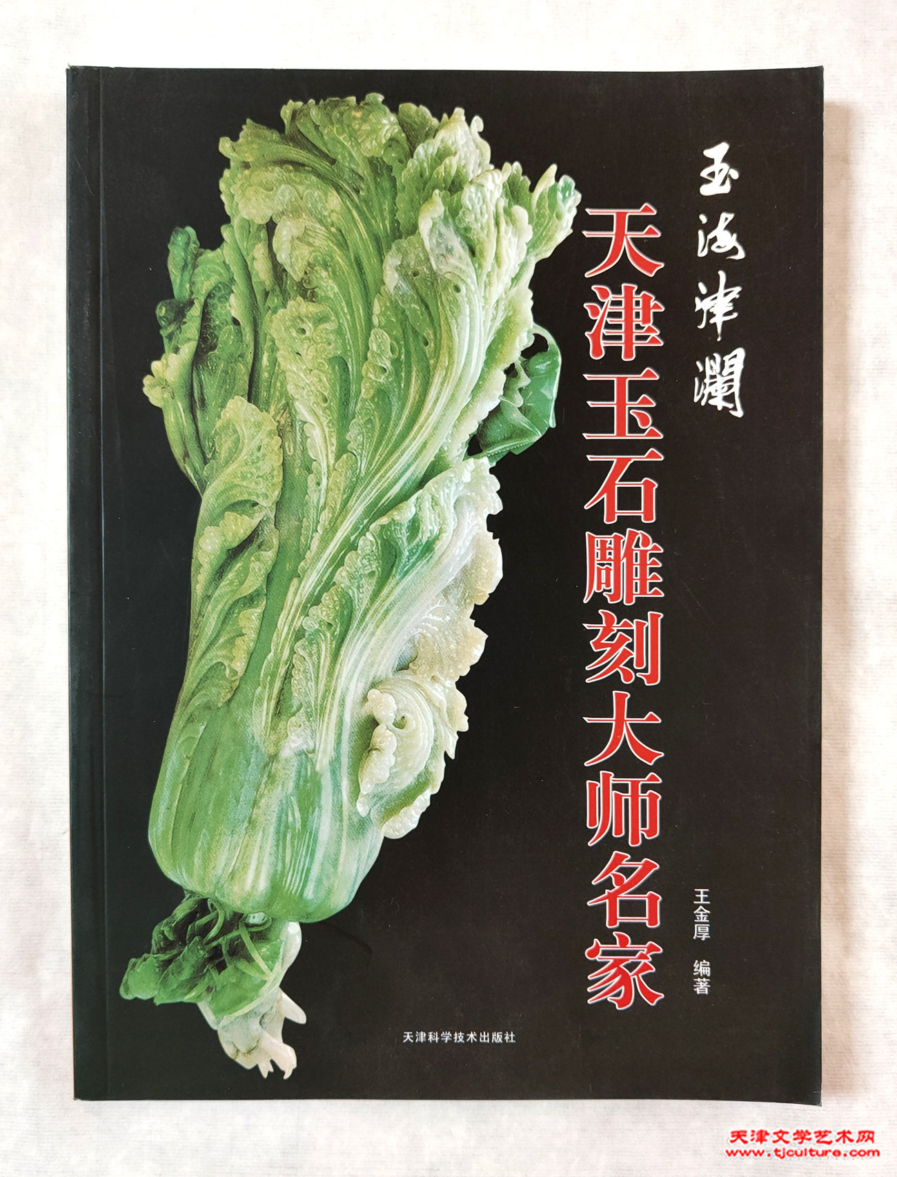 03 上   王金厚编著的《玉海津澜》一书