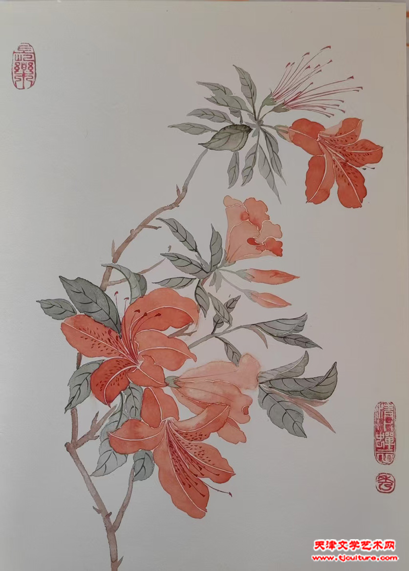 29