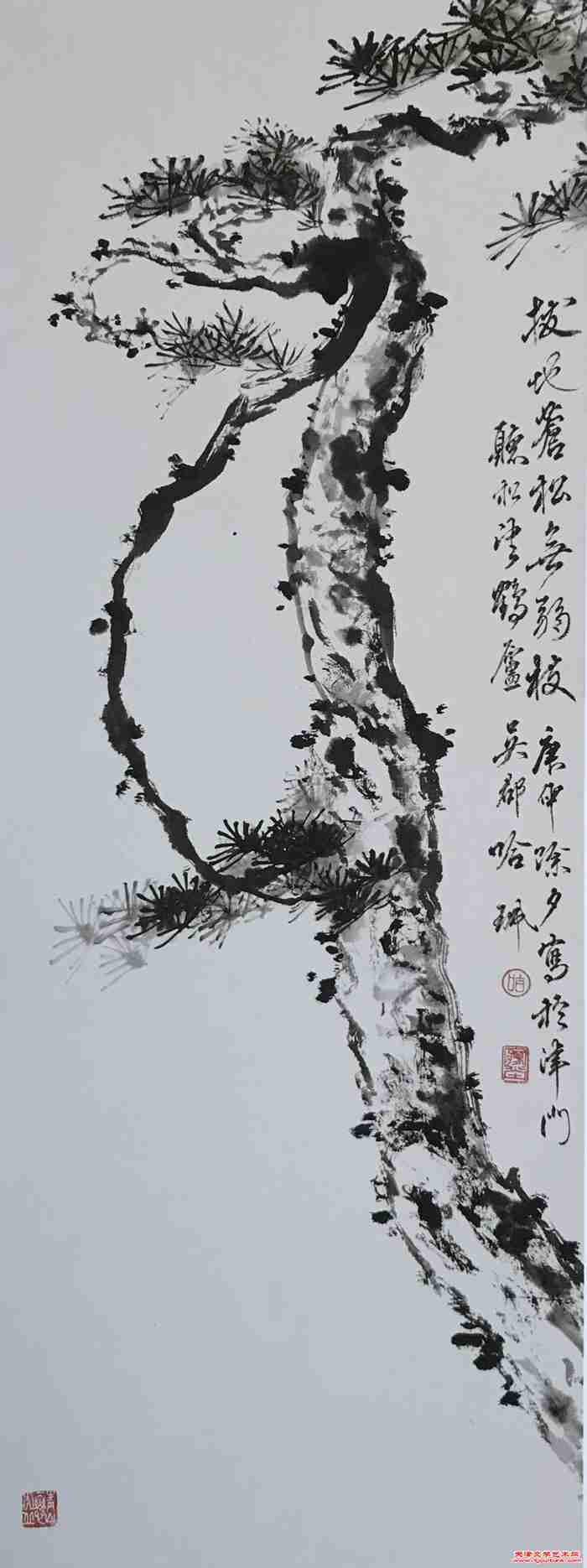 微信图片_20250223095438