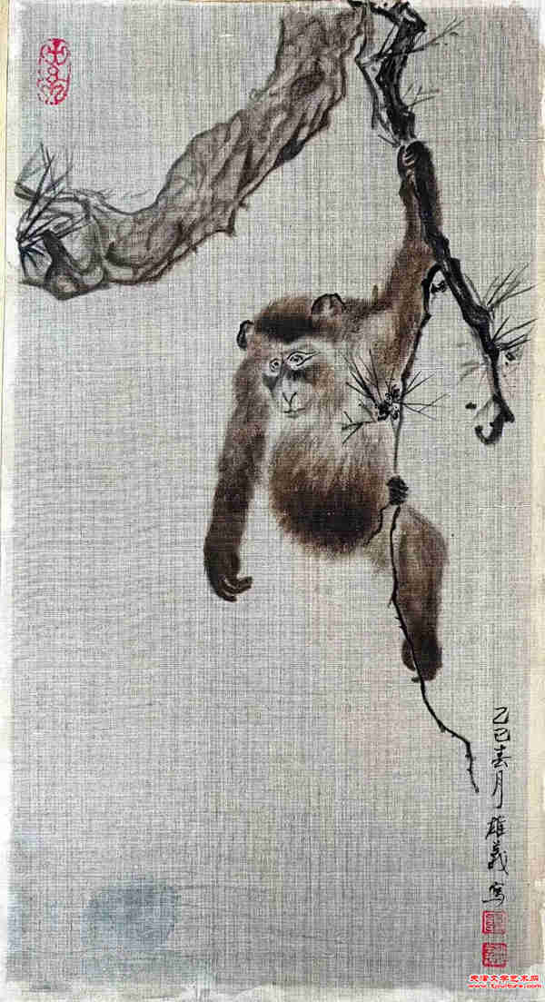 015　单雄义　3