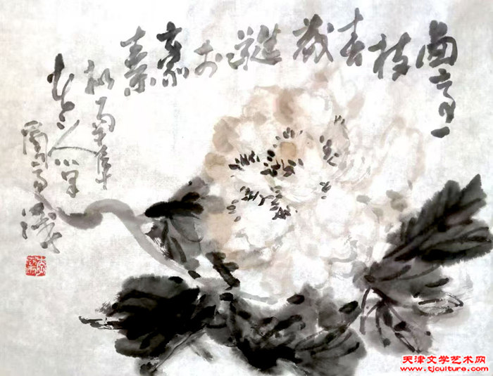 微信图片_20250608074151