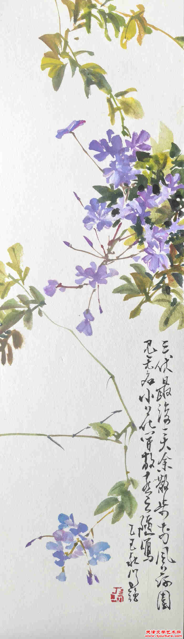 无名花