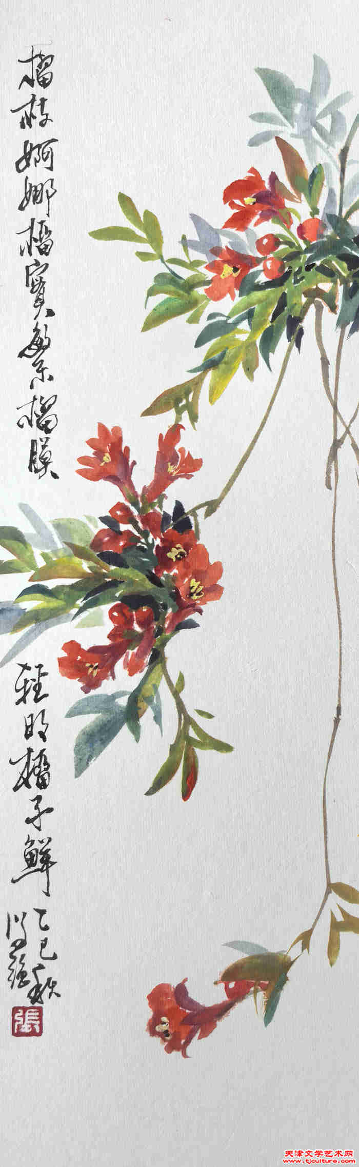 石榴花