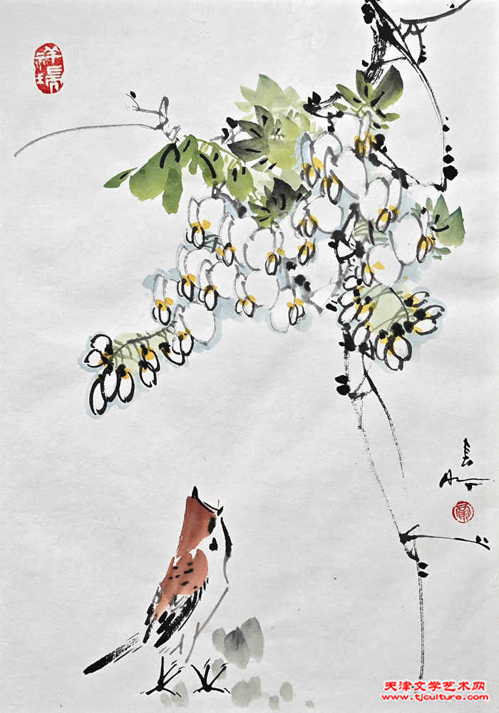 008 贾春明