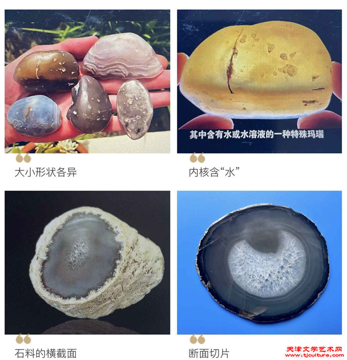 003　图二　１