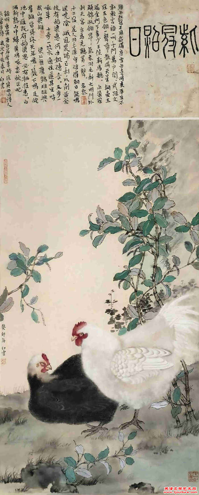 图片12